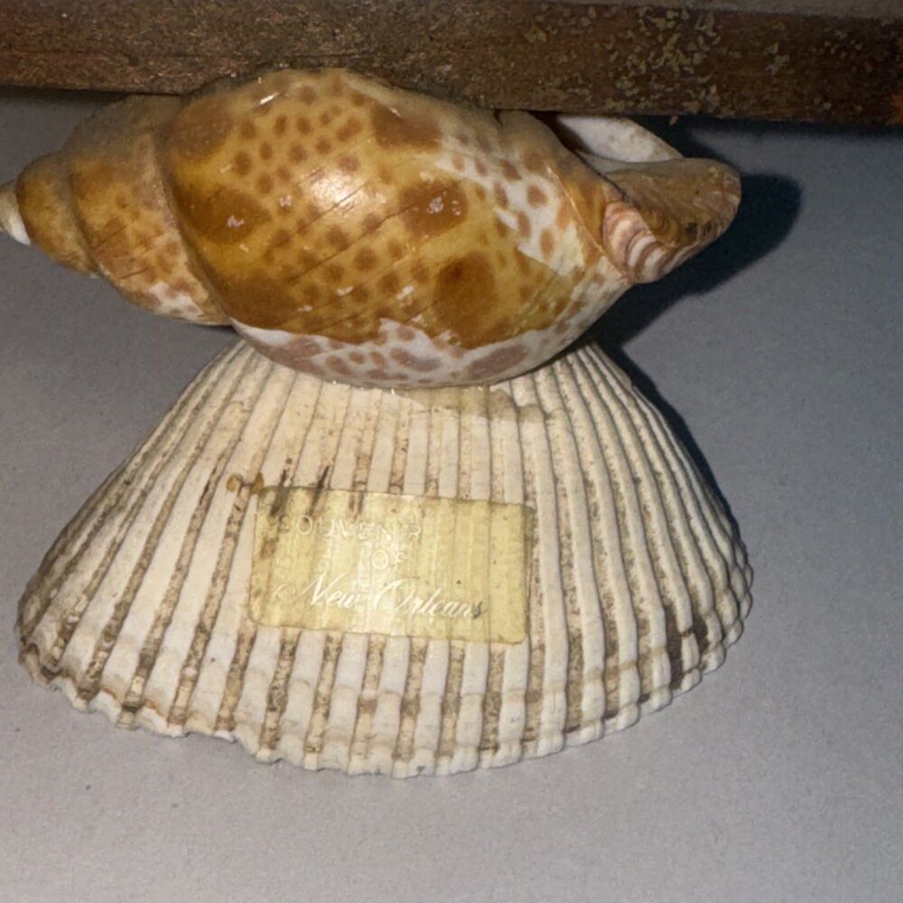 Vintage Sea Shell Ship boat Souvenir Of New Orleans - Picture 2 of 5